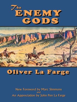 cover image of The Enemy Gods